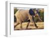 African Elephant Running-null-Framed Photographic Print