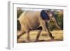 African Elephant Running-null-Framed Photographic Print