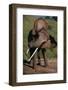 African Elephant Shaking Ears-DLILLC-Framed Photographic Print