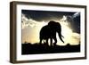 African Elephant Silhouetted Against Sunset-null-Framed Photographic Print