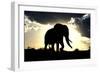 African Elephant Silhouetted Against Sunset-null-Framed Photographic Print