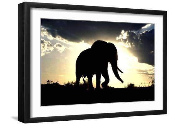Premium Photographic Print, , large