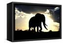 Canvas Black