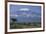 African Elephant Standing in Front of Mt. Kilimanjaro-DLILLC-Framed Photographic Print