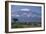 African Elephant Standing in Front of Mt. Kilimanjaro-DLILLC-Framed Photographic Print