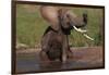 African Elephant Taking Bath in River-DLILLC-Framed Photographic Print