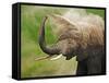 African Elephant Taking Dust Bath-Martin Harvey-Framed Stretched Canvas