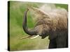 African Elephant Taking Dust Bath-Martin Harvey-Stretched Canvas