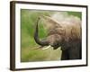 African Elephant Taking Dust Bath-Martin Harvey-Framed Photographic Print