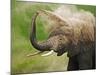African Elephant Taking Dust Bath-Martin Harvey-Mounted Photographic Print