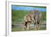 African Elephant Two Calves with Trunks Together-null-Framed Photographic Print