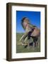 African Elephant Wagging Ears-DLILLC-Framed Photographic Print