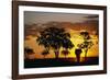 African Elephant Walking at Sunset-null-Framed Photographic Print