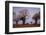 African Elephant Walking between Baobab Trees-DLILLC-Framed Photographic Print