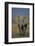 African Elephant Walking in Grass-DLILLC-Framed Photographic Print