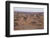 African Elephant Walking in Savanna-DLILLC-Framed Photographic Print