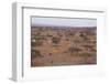 African Elephant Walking in Savanna-DLILLC-Framed Photographic Print