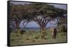 African Elephant Walking on Savanna-DLILLC-Framed Stretched Canvas