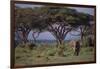 African Elephant Walking on Savanna-DLILLC-Framed Photographic Print