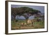 African Elephant Walking with Calves-DLILLC-Framed Photographic Print