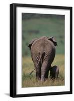 African Elephant Walking with Young-DLILLC-Framed Premium Photographic Print