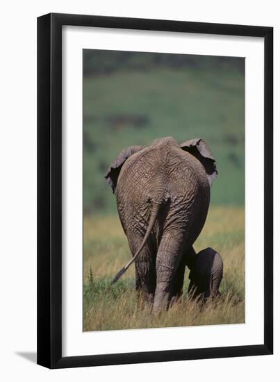 African Elephant Walking with Young-DLILLC-Framed Premium Photographic Print