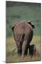 African Elephant Walking with Young-DLILLC-Mounted Premium Photographic Print