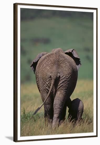 African Elephant Walking with Young-DLILLC-Framed Premium Photographic Print