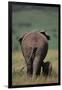 African Elephant Walking with Young-DLILLC-Framed Premium Photographic Print