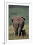 African Elephant Walking with Young-DLILLC-Framed Photographic Print