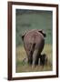 African Elephant Walking with Young-DLILLC-Framed Photographic Print