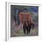 African Elephant Walking-DLILLC-Framed Photographic Print