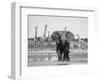 African Elephant, Warning Posture Display at Waterhole with Giraffe, Etosha National Park, Namibia-Tony Heald-Framed Premium Photographic Print