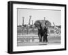 African Elephant, Warning Posture Display at Waterhole with Giraffe, Etosha National Park, Namibia-Tony Heald-Framed Premium Photographic Print