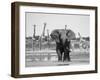 African Elephant, Warning Posture Display at Waterhole with Giraffe, Etosha National Park, Namibia-Tony Heald-Framed Photographic Print