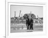 African Elephant, Warning Posture Display at Waterhole with Giraffe, Etosha National Park, Namibia-Tony Heald-Framed Photographic Print