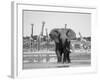 African Elephant, Warning Posture Display at Waterhole with Giraffe, Etosha National Park, Namibia-Tony Heald-Framed Photographic Print