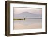 African elephant with Mount Kilimajaro in the background-Wim van den Heever-Framed Photographic Print