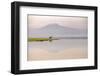 African elephant with Mount Kilimajaro in the background-Wim van den Heever-Framed Photographic Print