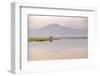 African elephant with Mount Kilimajaro in the background-Wim van den Heever-Framed Photographic Print