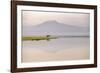 African elephant with Mount Kilimajaro in the background-Wim van den Heever-Framed Photographic Print