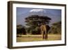 African Elephant-null-Framed Premium Photographic Print