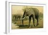 African Elephant-null-Framed Giclee Print