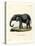African Elephant-null-Stretched Canvas