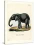 African Elephant-null-Stretched Canvas