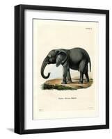 African Elephant-null-Framed Giclee Print