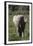 African Elephants 017-Bob Langrish-Framed Photographic Print