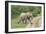 African Elephants 032-Bob Langrish-Framed Photographic Print