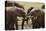 African Elephants 049-Bob Langrish-Stretched Canvas