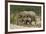 African Elephants 055-Bob Langrish-Framed Photographic Print